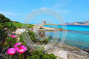 Beautiful La Pelosa beach in Stintino, Sardinia, Italy