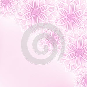 Beautiful lace floral pink background with flowers