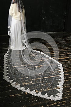 Beautiful lady in a long white wedding dress in a pancake veil. isolated on black background