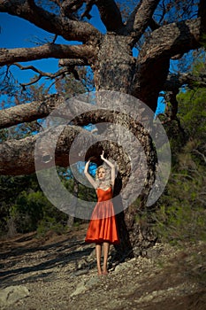 Beautiful lady and mighty tree