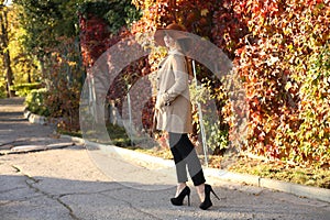 Beautiful ladylike woman in elegant clothes posing in autumn park