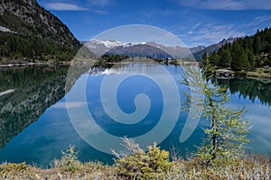 Beautiful Lago d`Aviolo with Reflection and a tree photo