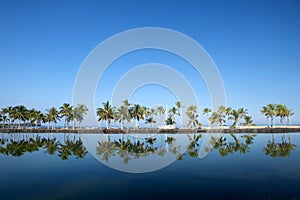 Beautiful laguna with palm trees, blue sky