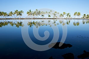 Beautiful laguna with palm trees, blue sky