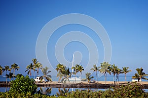 Beautiful laguna with palm trees, blue sky
