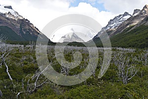 Beautiful Laguna Torre with big grey mountains in Patagonia, Argentina in South America