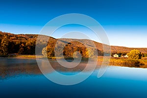 Beautiful lake and amazing forest