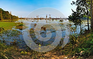 Beautiful lake around Neak Pean Temple, Cambodia