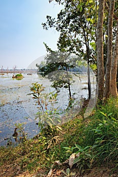 Beautiful lake around Neak Pean Temple, Cambodia