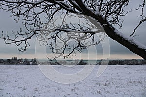 Beautiful of Lake Balaton at winter photo