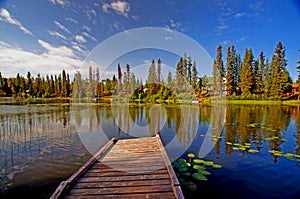 Beautiful Lake and Dock