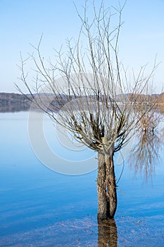 Beautiful lake landscape