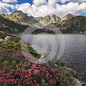 Beautiful Lake Landscape in Andorra