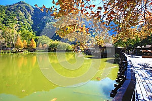 Beautiful lake landscape with Bald Cypress trees,Maple trees and mountains