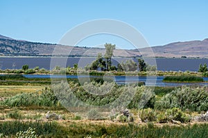 Beautiful Lake landscape in summer with a blue sky and copy space