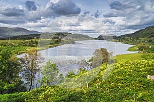 Beautiful lake, Looscaunagh Lough, surrounded by green ferns and hills of Molls Gap