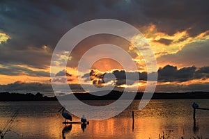 Beautiful Lake Macquarie Sunset