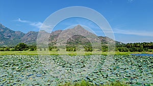 Beautiful lake and mountain range, bright blue sky, Tamil Nadu, India