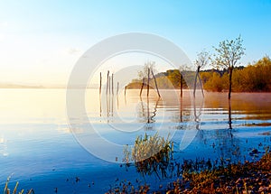 Beautiful lake with mountains in the background at sunrise. Trees in water and morning fog.