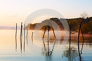 Beautiful lake with mountains in the background at sunrise. Trees in water and morning fog.