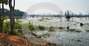 Beautiful lake near Neak Pean Temple, Cambodia