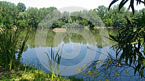 Beautiful lake at Parco Oasi Chico Mendes Campi Bisenzio Firenze Italy.