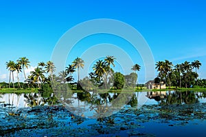 Beautiful lake reflection in the morning