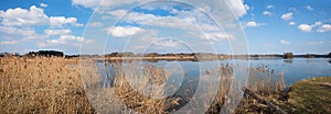 Beautiful lake seeham nature preserve for birds