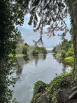 beautiful lake shore, forest and nature walks Cong, county Mayo