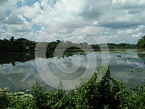 Beautiful lake side view in Sri Lanka