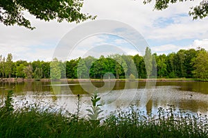 Beautiful lake during the spring season, Flers, Normandy, France photo