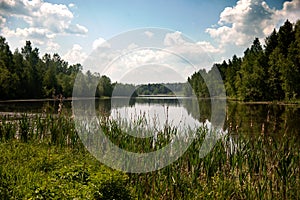 Beautiful lake in the summer