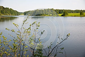 Beautiful lake in the summer