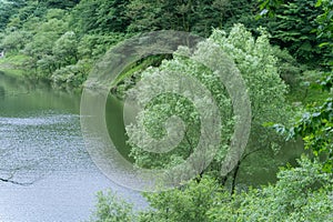 Beautiful lake and trees in Lushan Mountain, China.