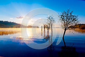 Beautiful lake view in morning fog with mystic mountains and trees as leftovers of a mole in gold, purple - blue tones.