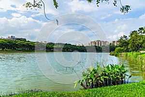 Beautiful lake view of Punggol Park in Singapore with blue sky a