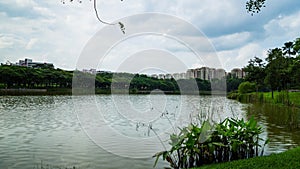 Beautiful lake view of Punggol Park in Singapore, garden side of river, Punggol Park with blue sky