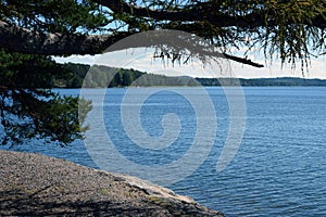 Beautiful lake view under tree branch