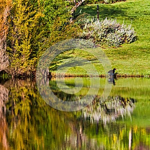 Beautiful lakes everywhere set amongst lush woodland and plants at Pemberton