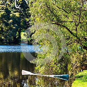 Beautiful lakes everywhere set amongst lush woodland and plants at Pemberton