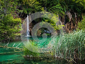 Beautiful Lakes and forests, Plitvice Lakes, National Park, Forest, Croatia