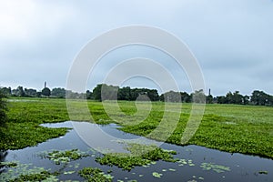 A beautiful lakeside view with clouds reflected in the surface