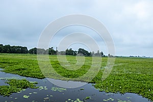 A beautiful lakeside view with clouds reflected in the surface