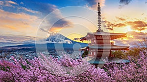 Beautiful landmark of Fuji mountain and Chureito Pagoda with cherry blossoms at sunset, Japan. Spring in Japan