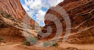 Beautiful landsacpe along the Capitol Gorge Road of Capitol Reef National Park