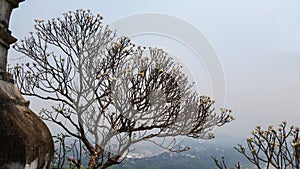 Beautiful landscap at Luangprabang Loas from top of hill photo