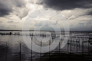 beautiful landscape of the Albufera on a cloudy day