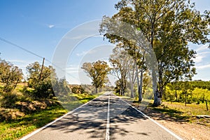 Beautiful landscape of Alentejo and famous national road N2, south of Portugal