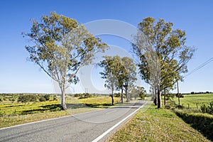 Beautiful landscape of Alentejo and famous national road N2, south of Portugal