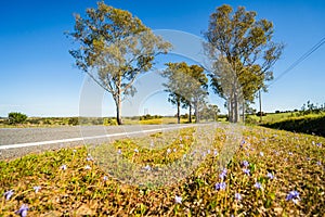 Beautiful landscape of Alentejo and famous national road N2, south of Portugal